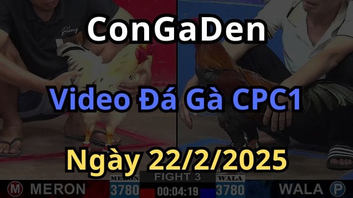 Video Giải Đại Hội Võ Lâm CPC1 Ngày 22/2/2025